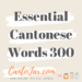 Cantonese Flashcards for beginnersEssential 300